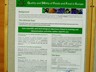 Poster session I (13)