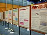 Poster session I (6)